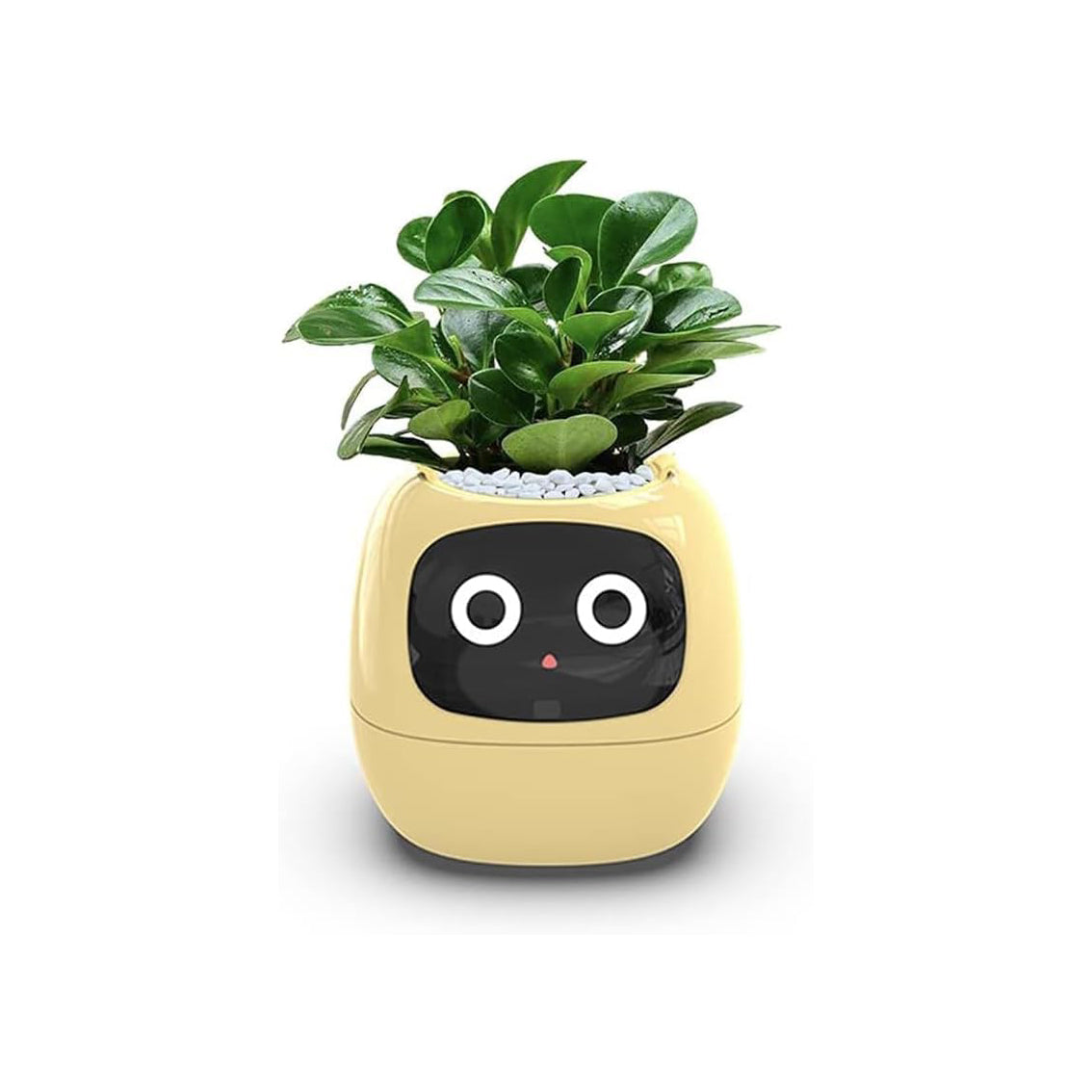 Smart Plant Pot, Smart Flowerpots, Intelligent Planter, with 49 Rich Expressions, 7 Smart sensors, AI Chips, LCD Screen Display, APP Control, Smart Expression, Time Date Weather Display