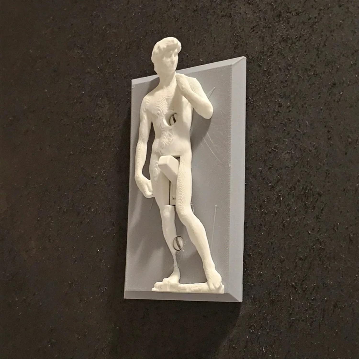 Funny Light Switch Cover, Michelangelo's David 3D Sculpted Light Switch Cover, Polyresin Single Toggle Wall Switch Plate Cover- Statue of David Michelangelo Wall Home Art Decor