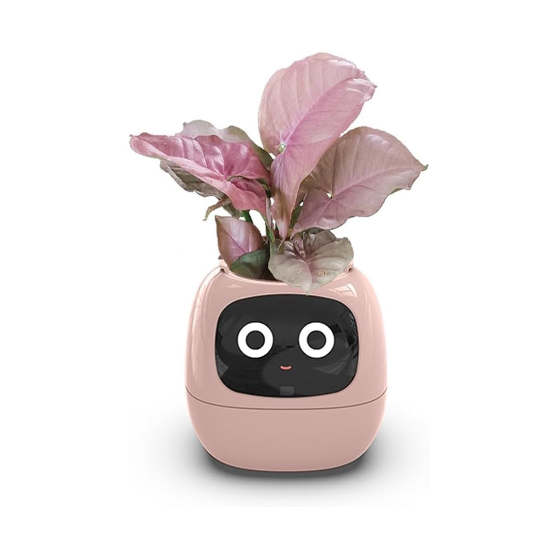 Smart Plant Pot, Smart Flowerpots, Intelligent Planter, with 49 Rich Expressions, 7 Smart sensors, AI Chips, LCD Screen Display, APP Control, Smart Expression, Time Date Weather Display