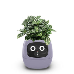 Smart Plant Pot, Smart Flowerpots, Intelligent Planter, with 49 Rich Expressions, 7 Smart sensors, AI Chips, LCD Screen Display, APP Control, Smart Expression, Time Date Weather Display